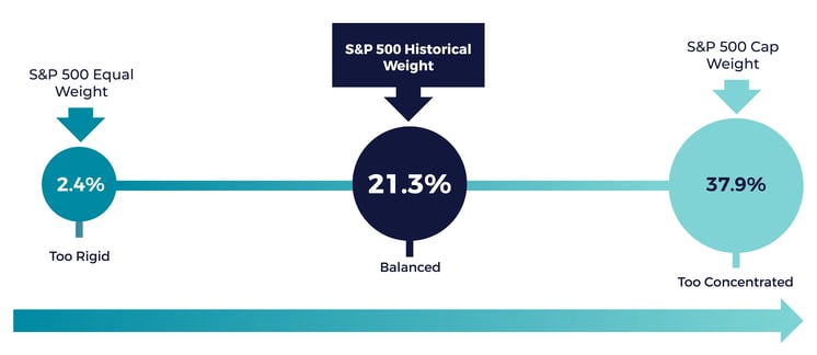 DSPY top 10 company weight-01
