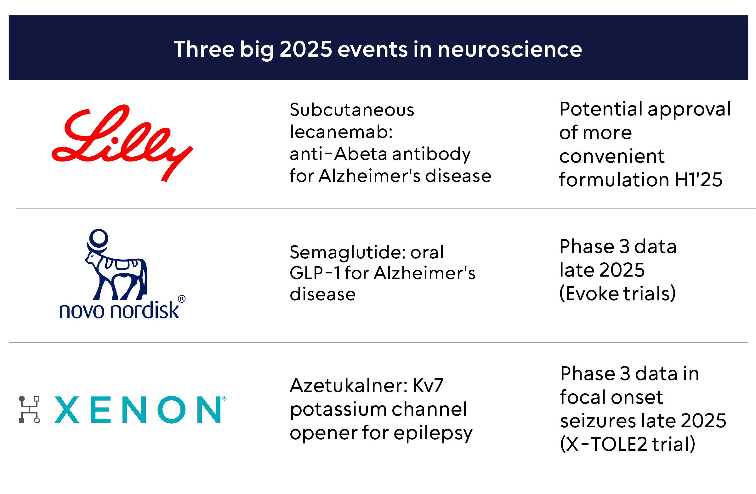 Three big 2025 events in neuroscience