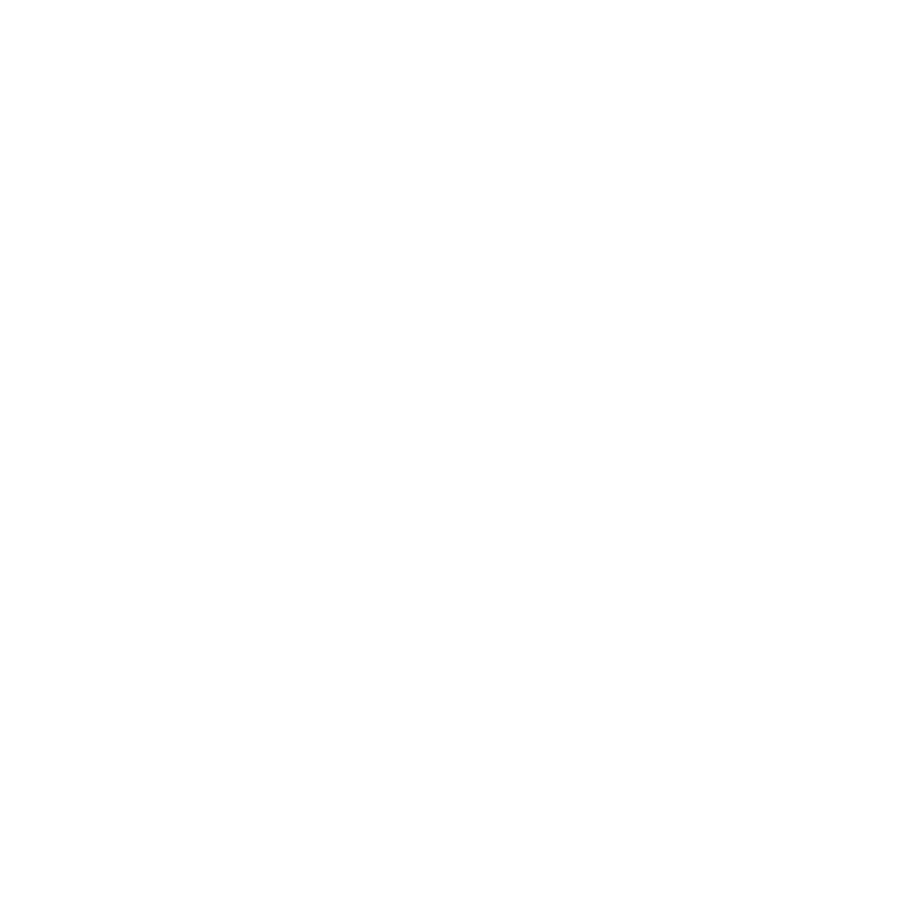 manager icon