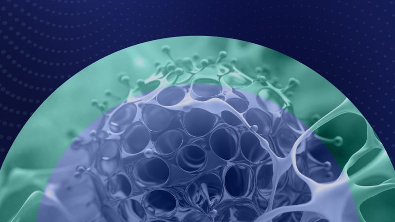 picture of an oncogene