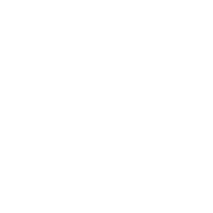 MLCC & PowerSemi ETF (PSOX)